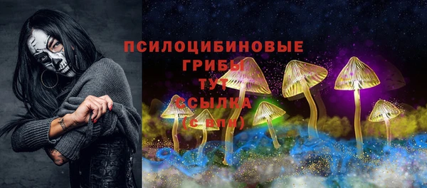 крисы Абинск