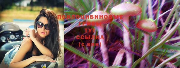 крисы Абинск