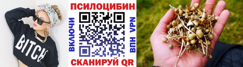 Галлюциногенные грибы Psilocybine cubensis  Староминская 